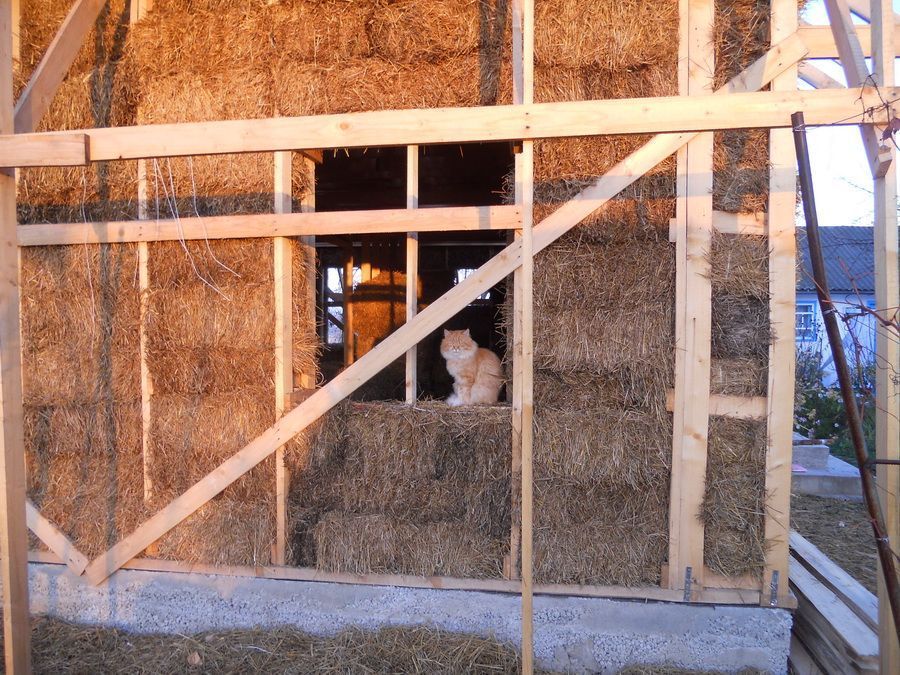 Environmentally friendly materials